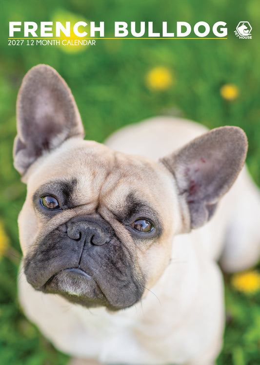 French Bulldog - A3 Calendar 2027