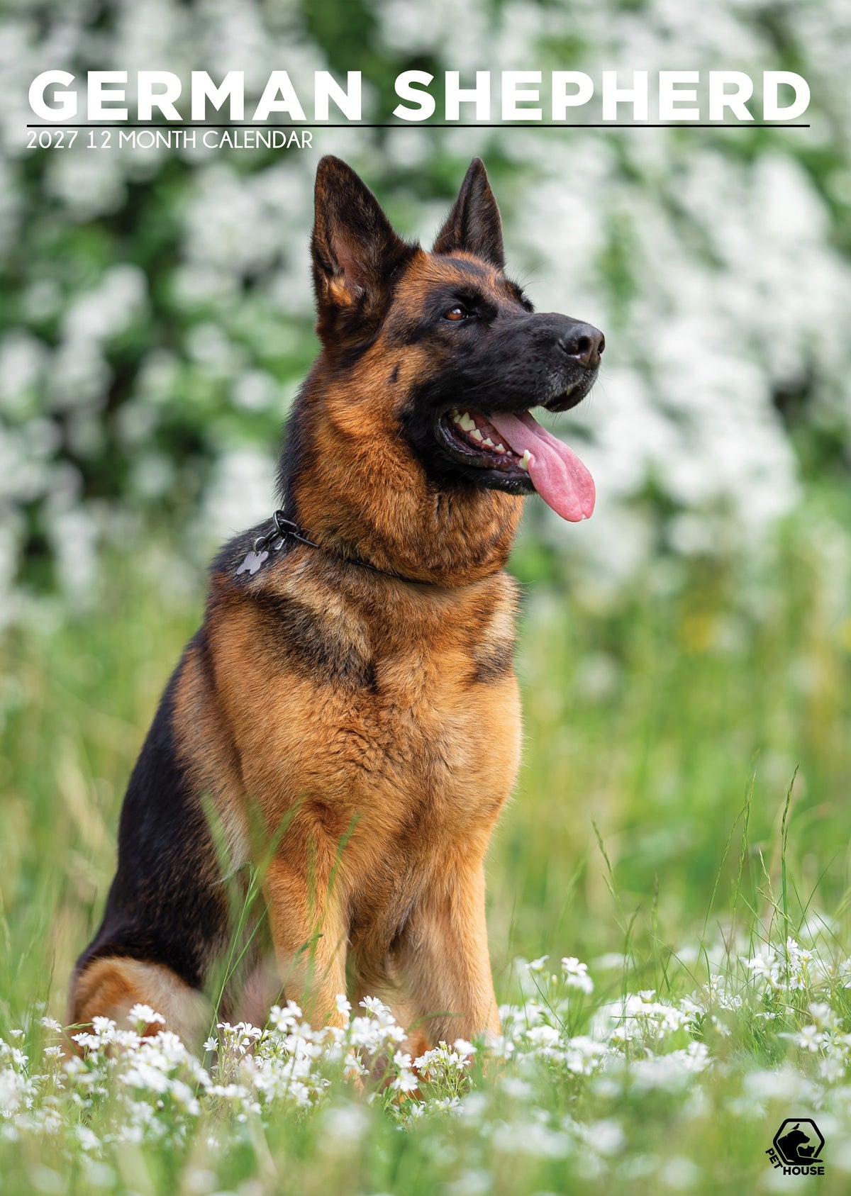 German Shepherd - A3 Calendar 2027