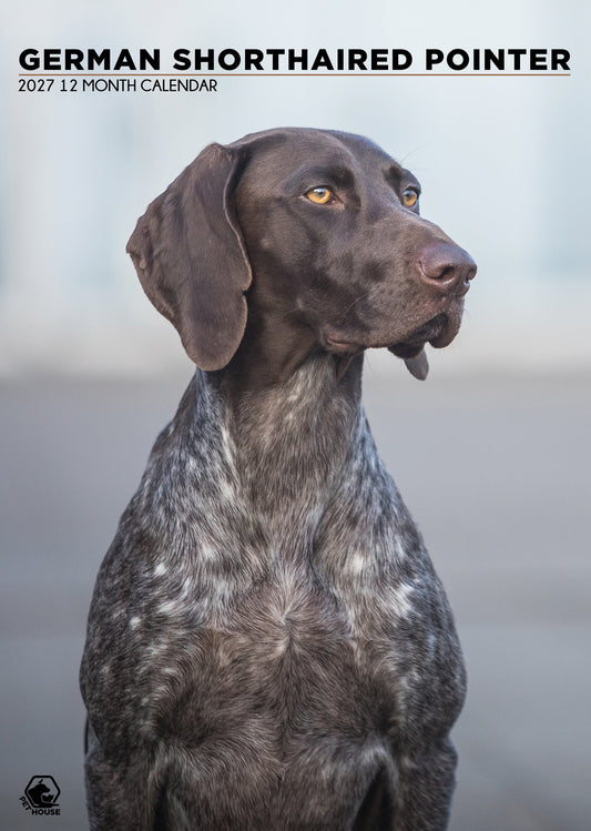 German Short Haired Pointer - A3 Calendar 2027