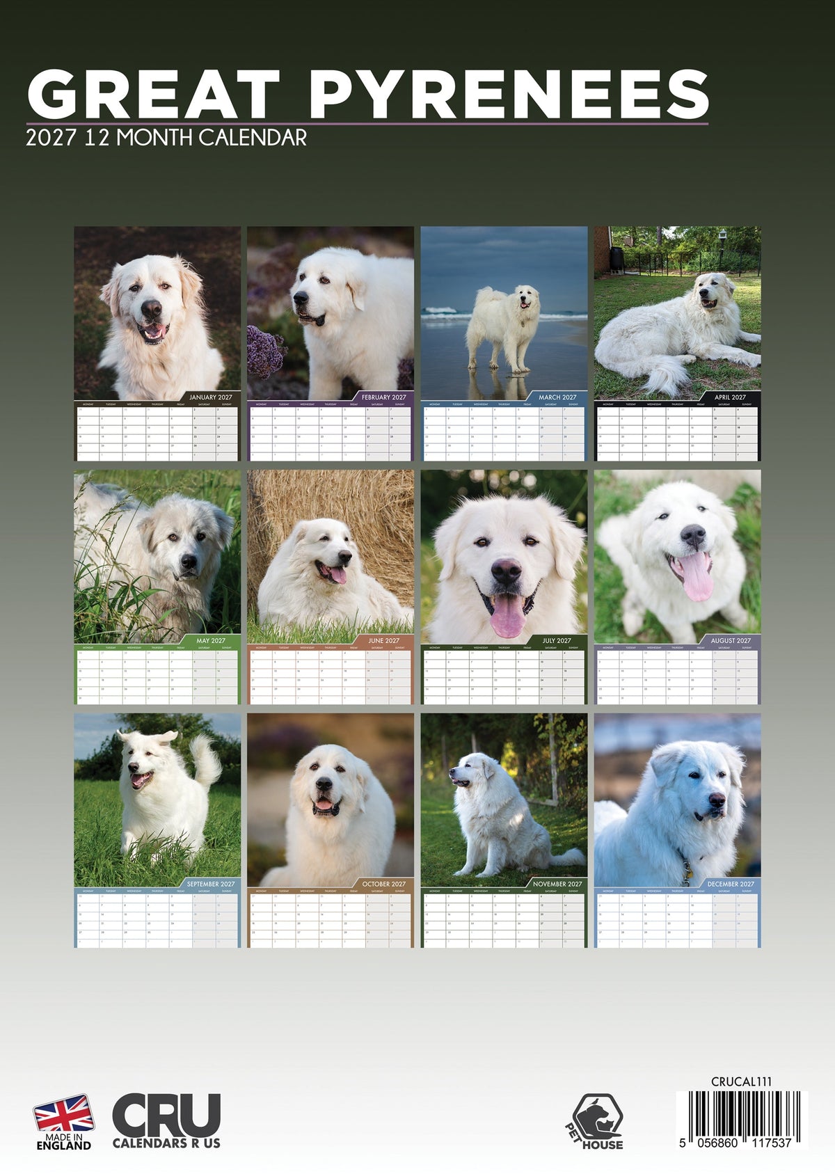 Great Pyrenees - A3 Calendar 2027