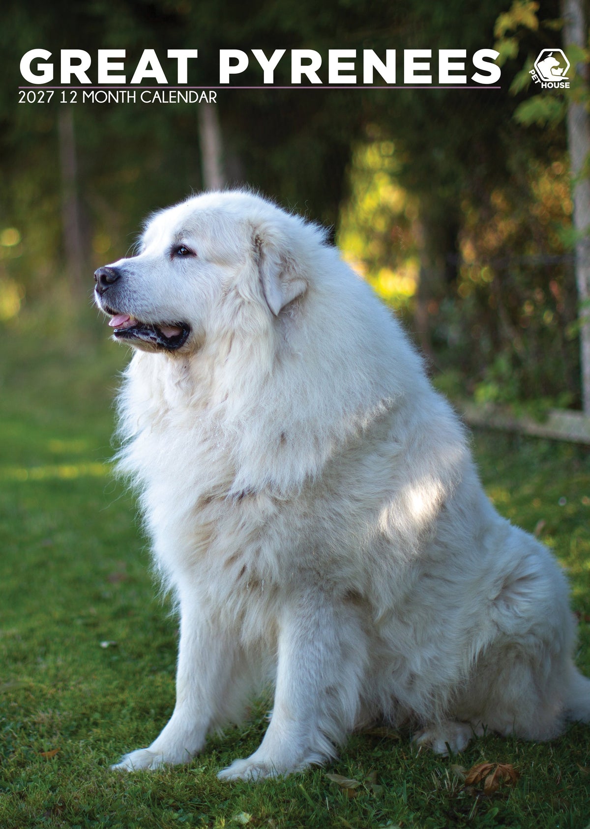 Great Pyrenees - A3 Calendar 2027