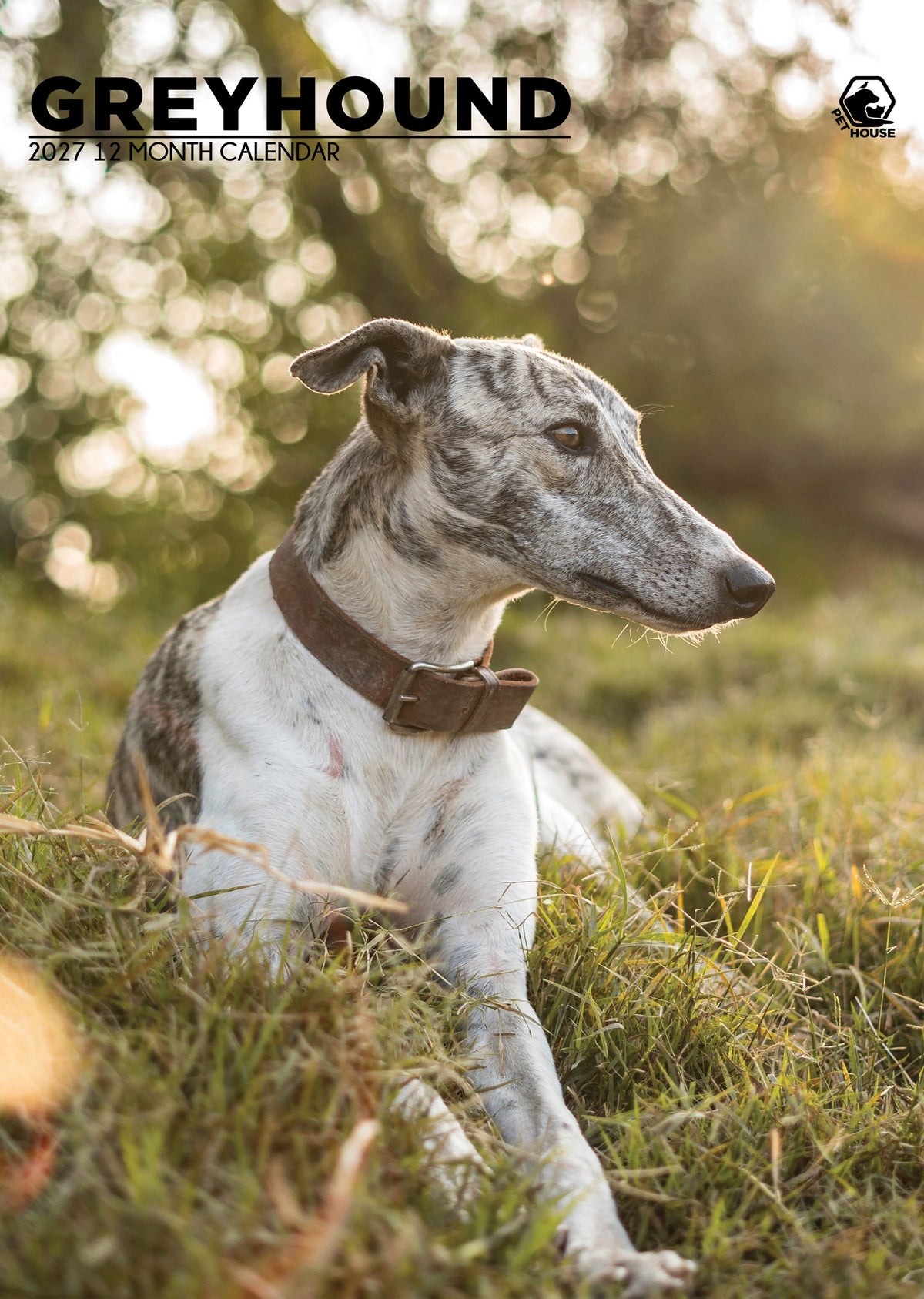 Greyhound - A3 Calendar 2027