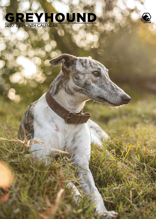 Greyhound - A3 Calendar 2027