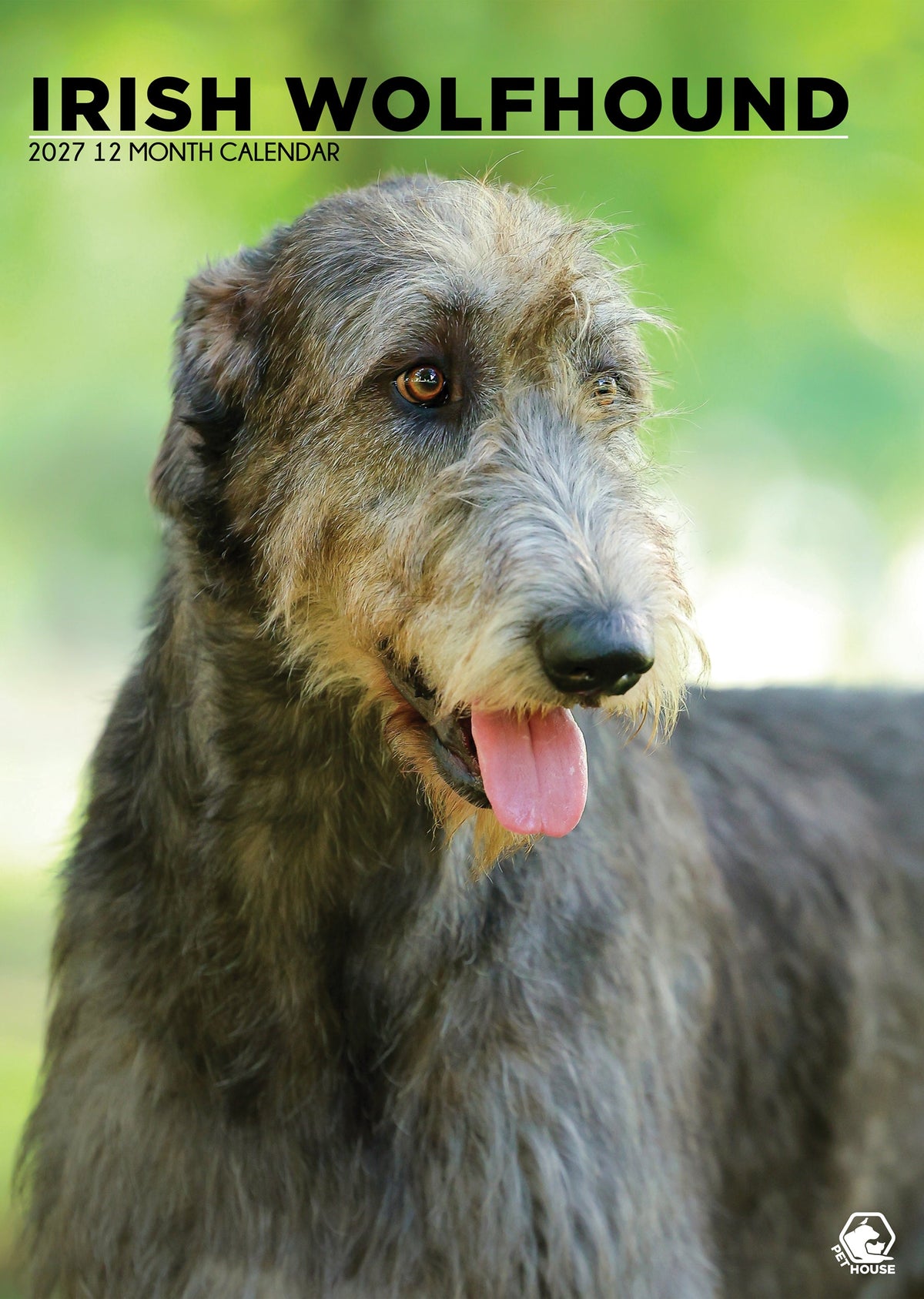 Irish Wolfhound - A3 Calendar 2027