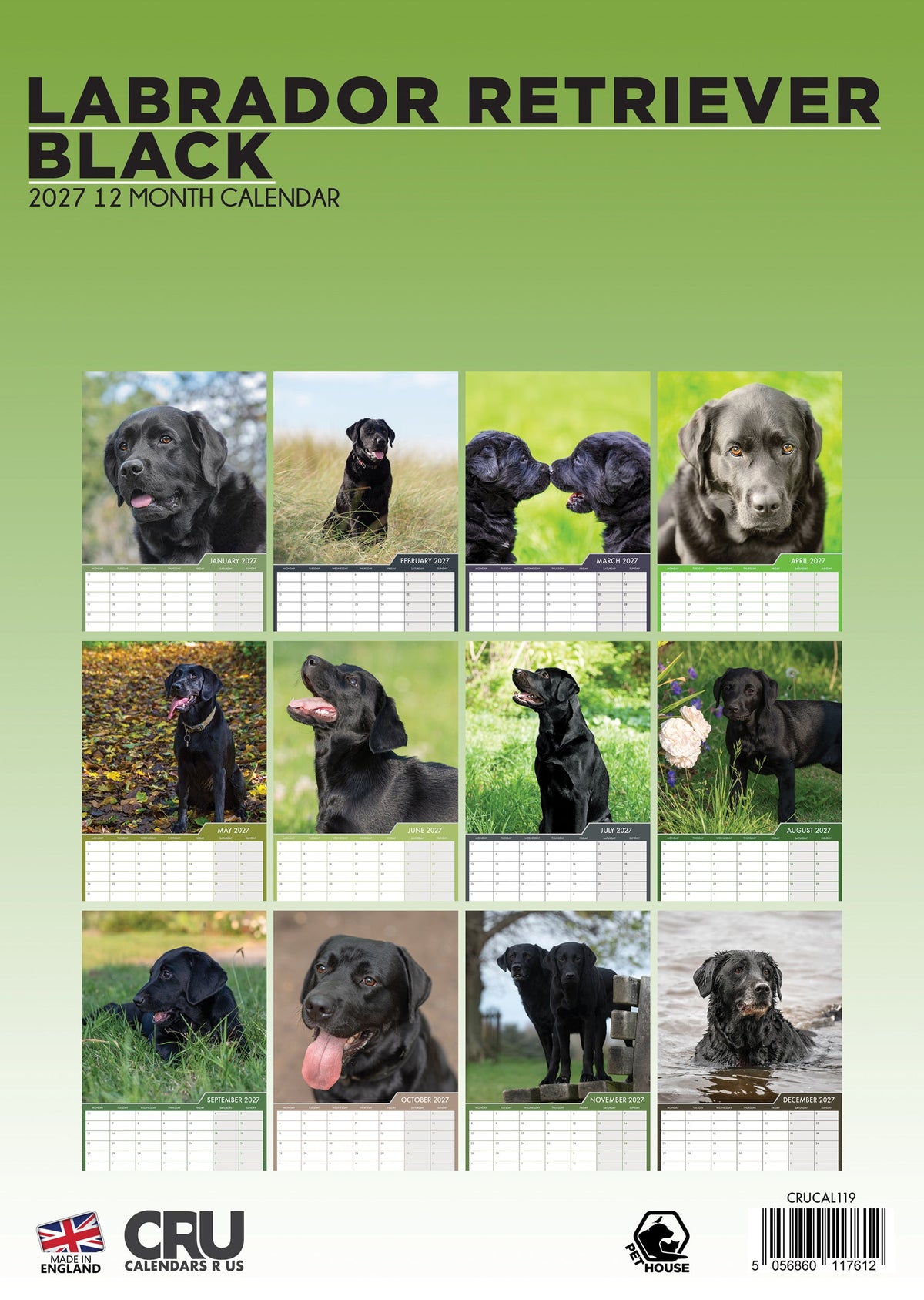 Labrador Retriever Black - A3 Calendar 2027