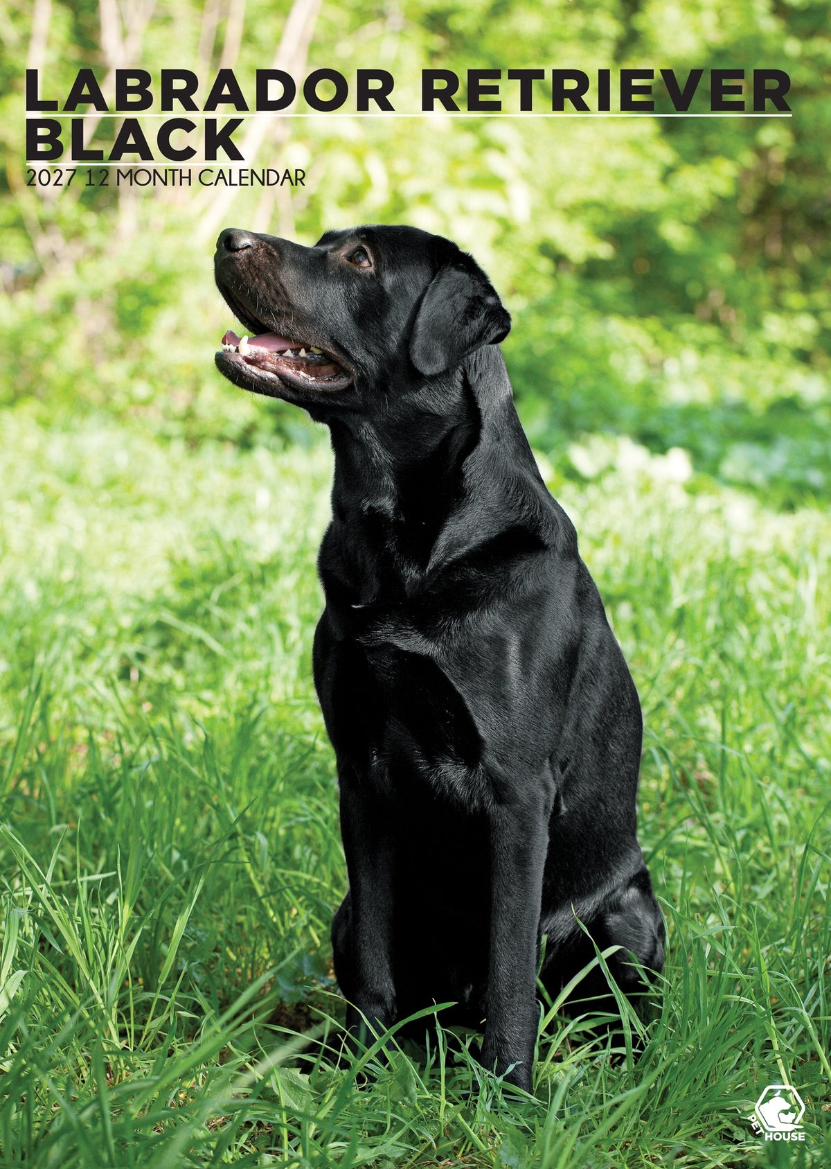 Labrador Retriever Black - A3 Calendar 2027