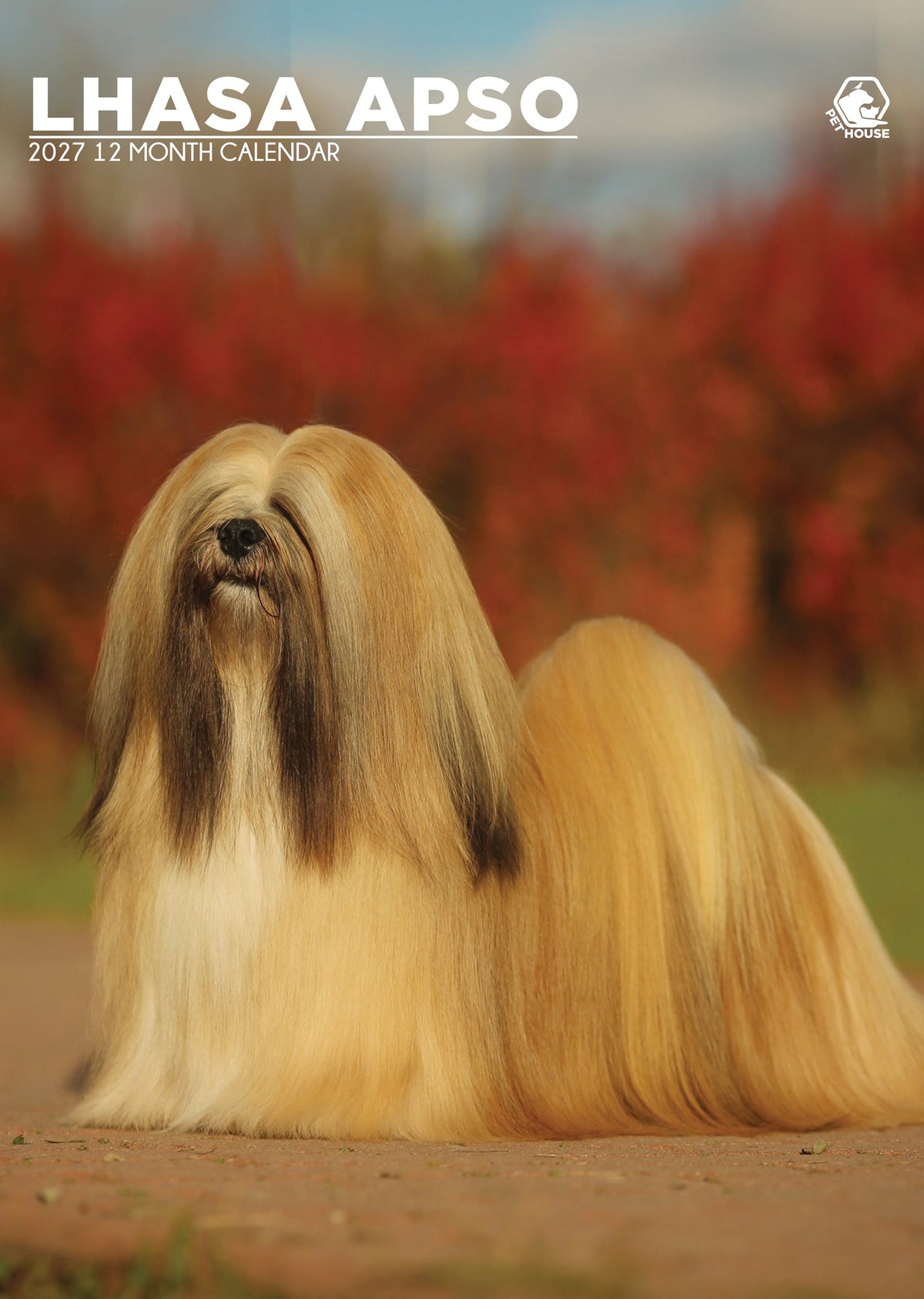 Lhasa Apso - A3 Calendar 2027