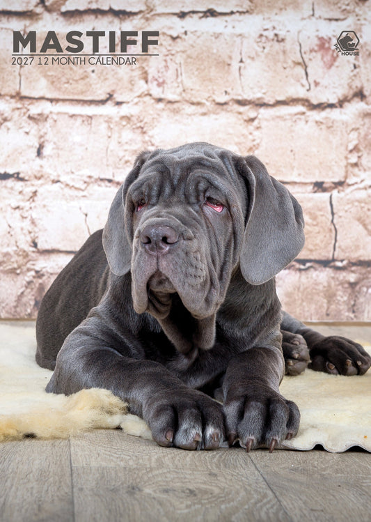 Mastiff - A3 Calendar 2027