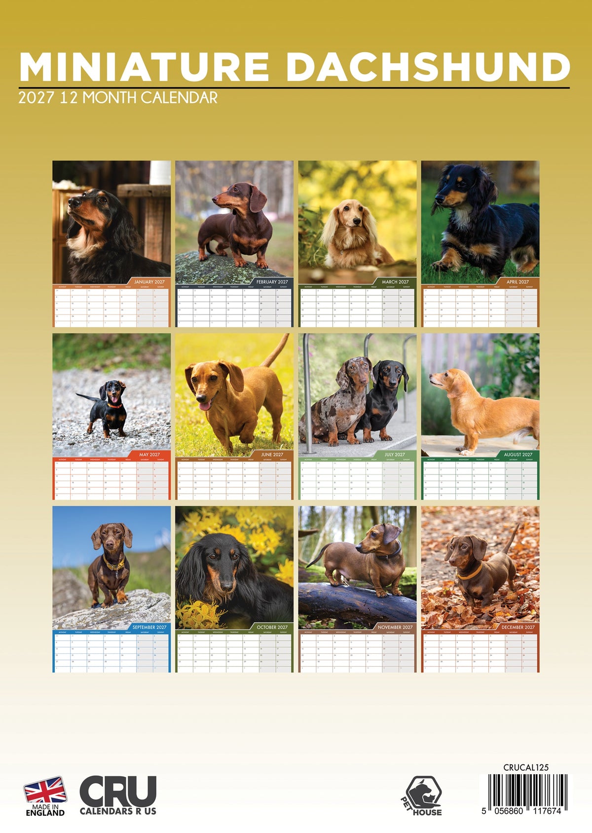 Miniature Dachshund - A3 Calendar 2027