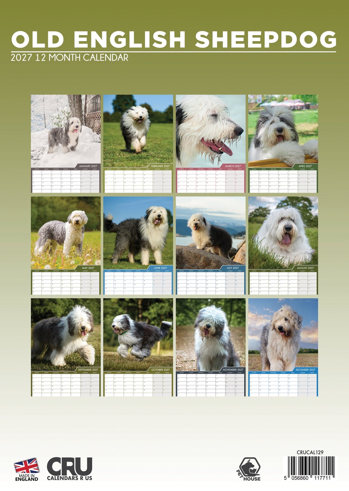 Old English Sheepdog - A3 Calendar 2027