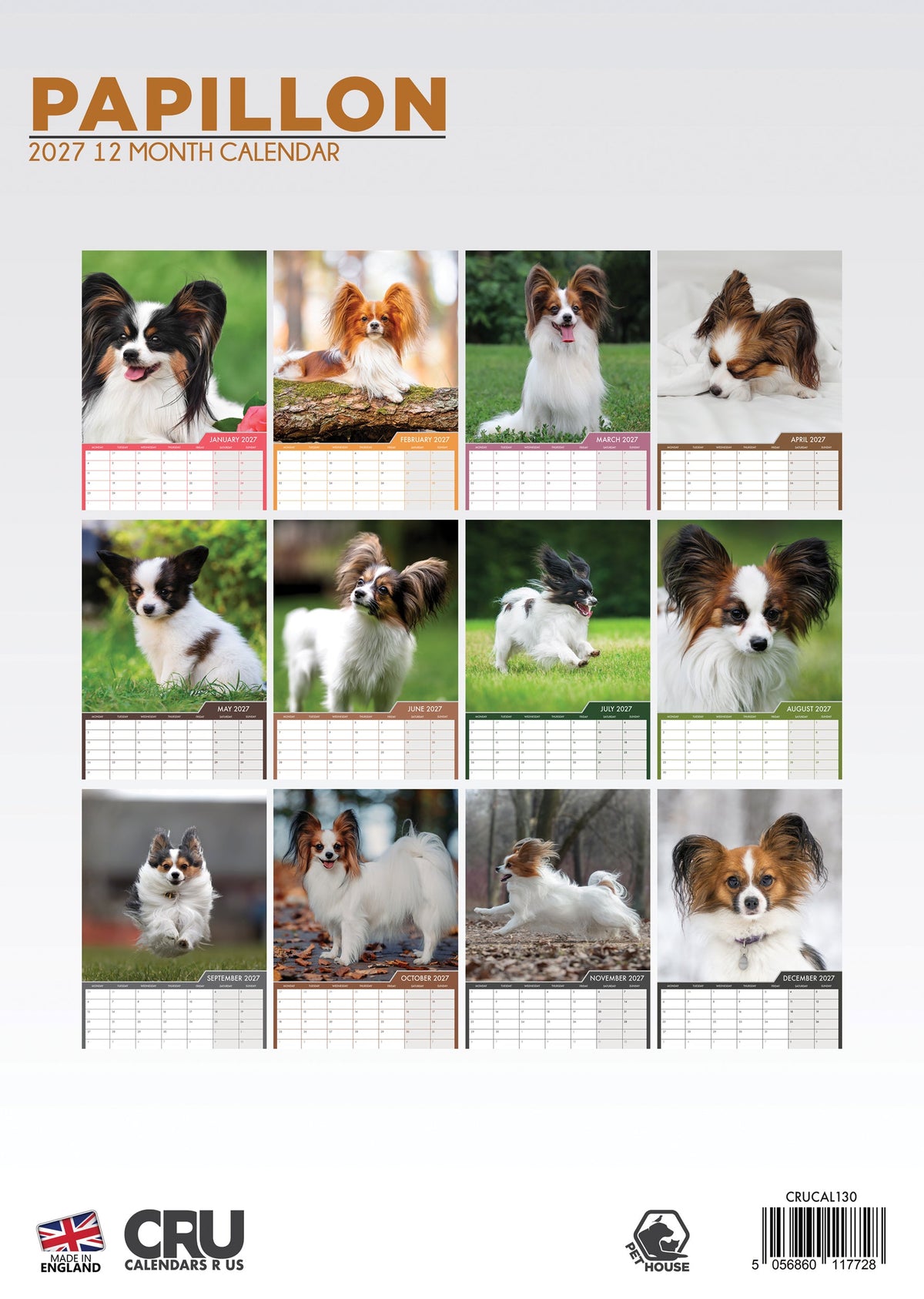 Papillon - A3 Calendar 2027