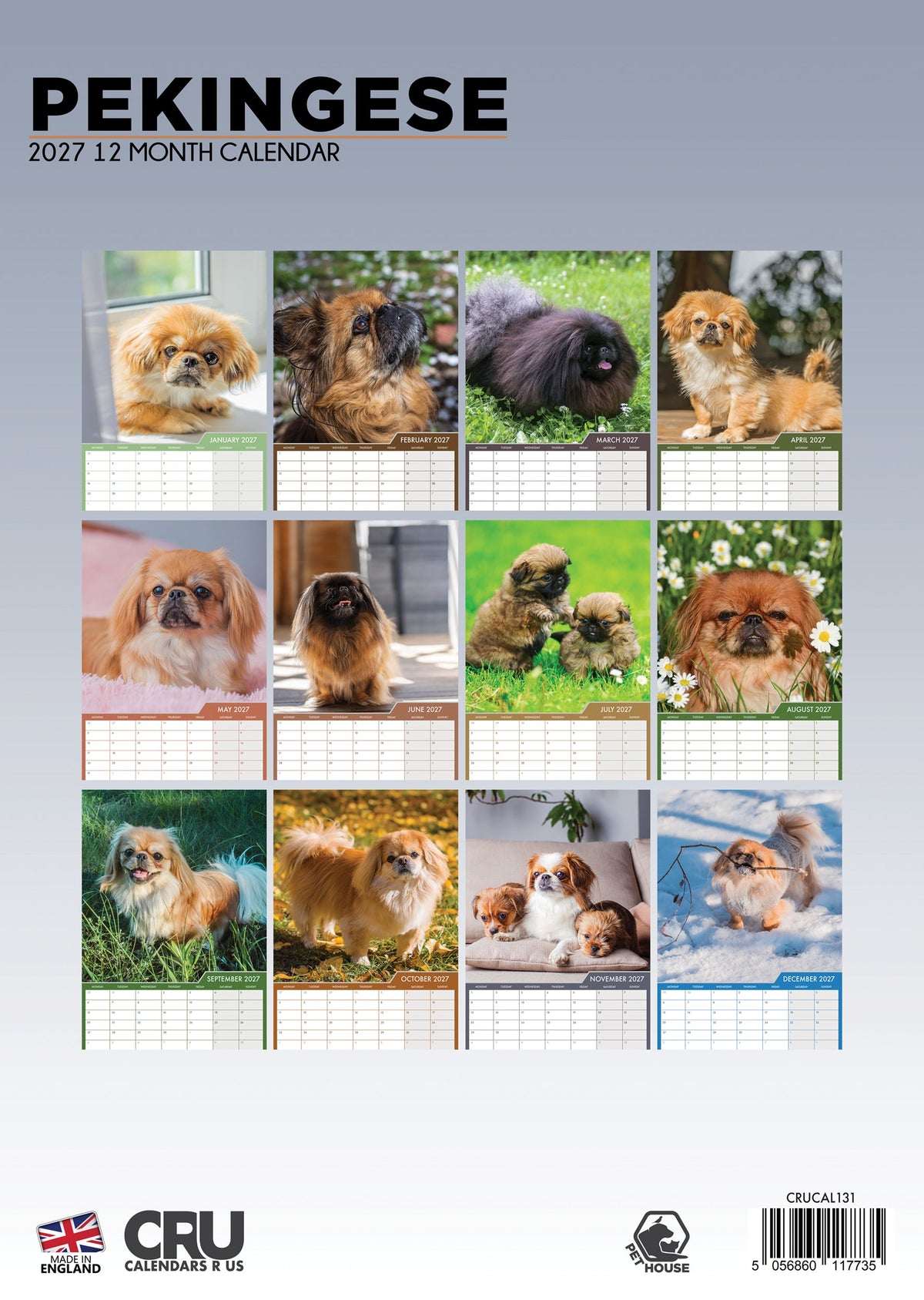 Pekingese - A3 Calendar 2027