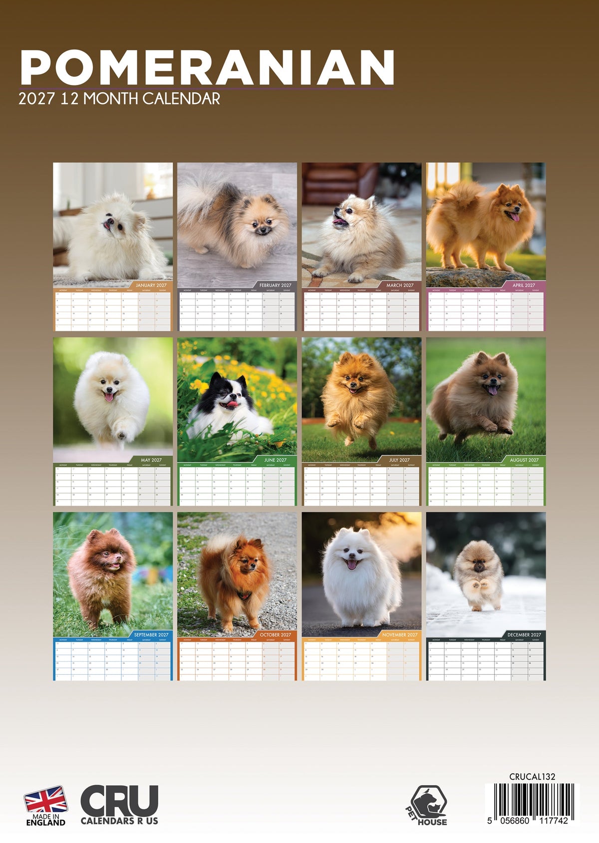 Pomeranian - A3 Calendar 2027