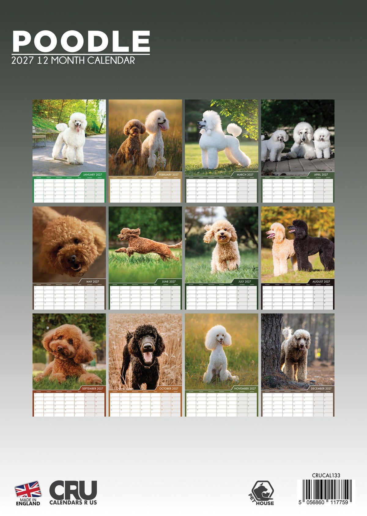 Poodle - A3 Calendar 2027