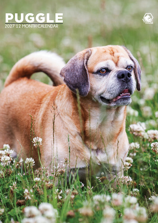 Puggle - A3 Calendar 2027