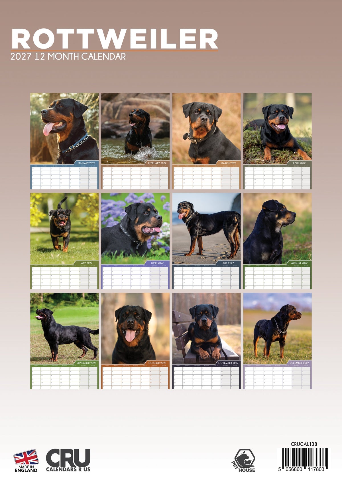 Rottweiler - A3 Calendar 2027