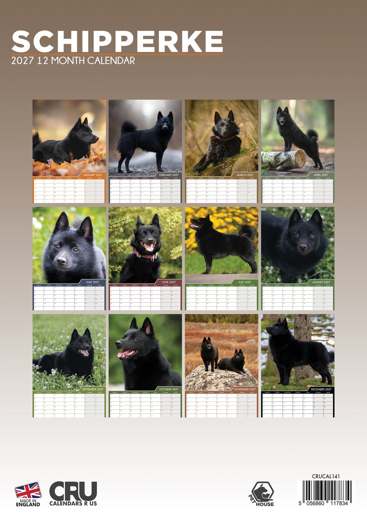 Schipperke - A3 Calendar 2027