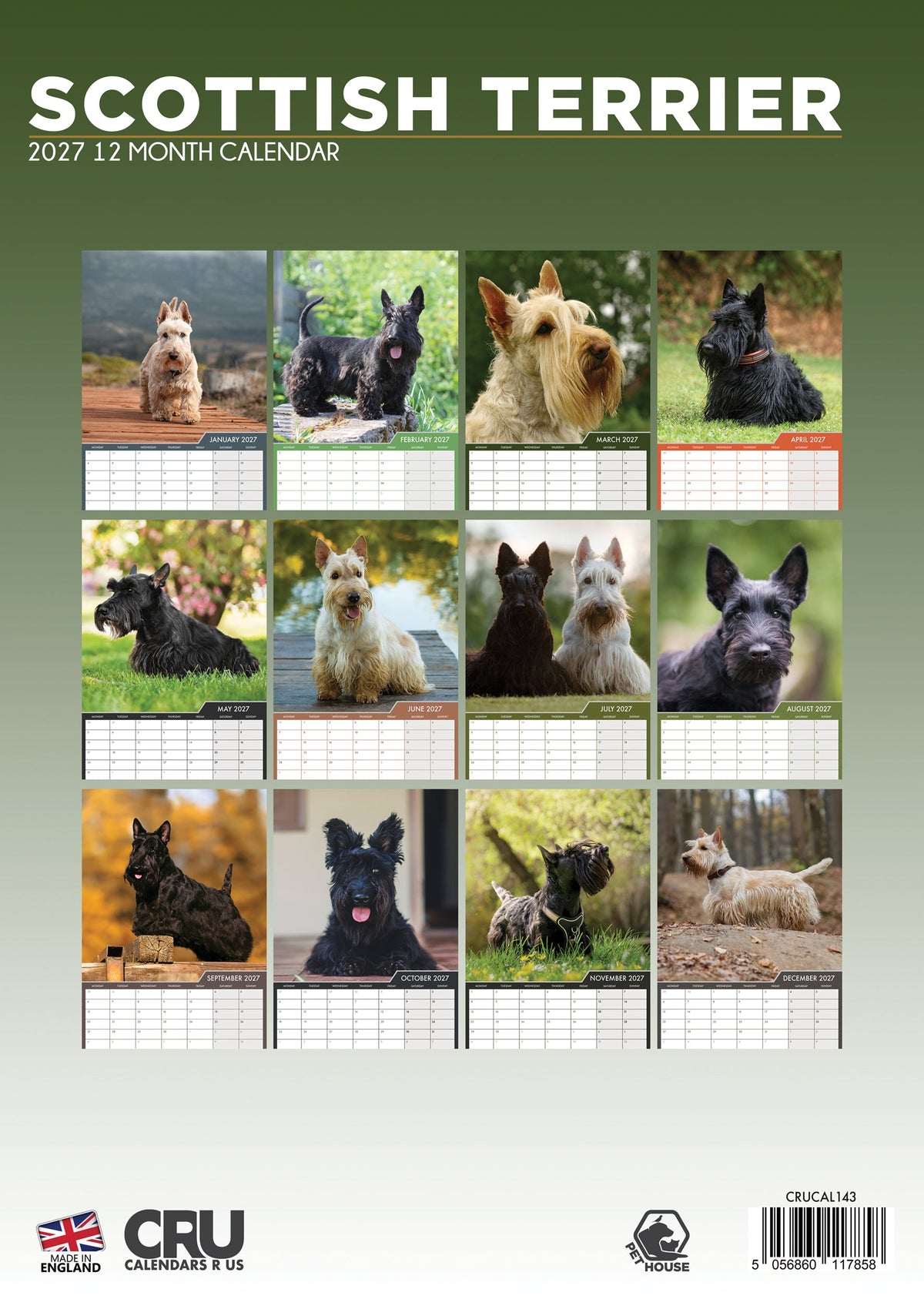 Scottish Terrier - A3 Calendar 2027