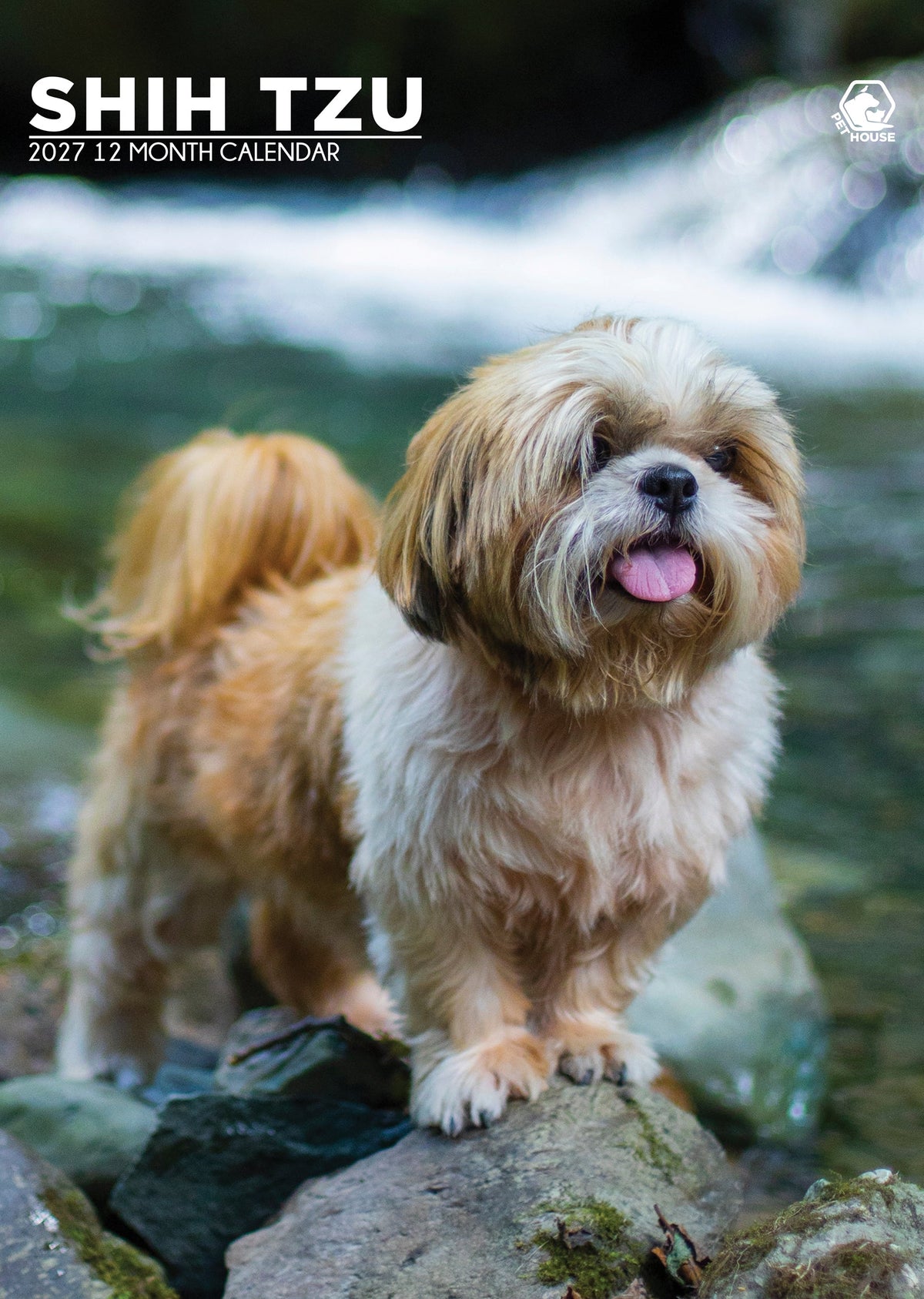 Shih Tzu - A3 Calendar 2027