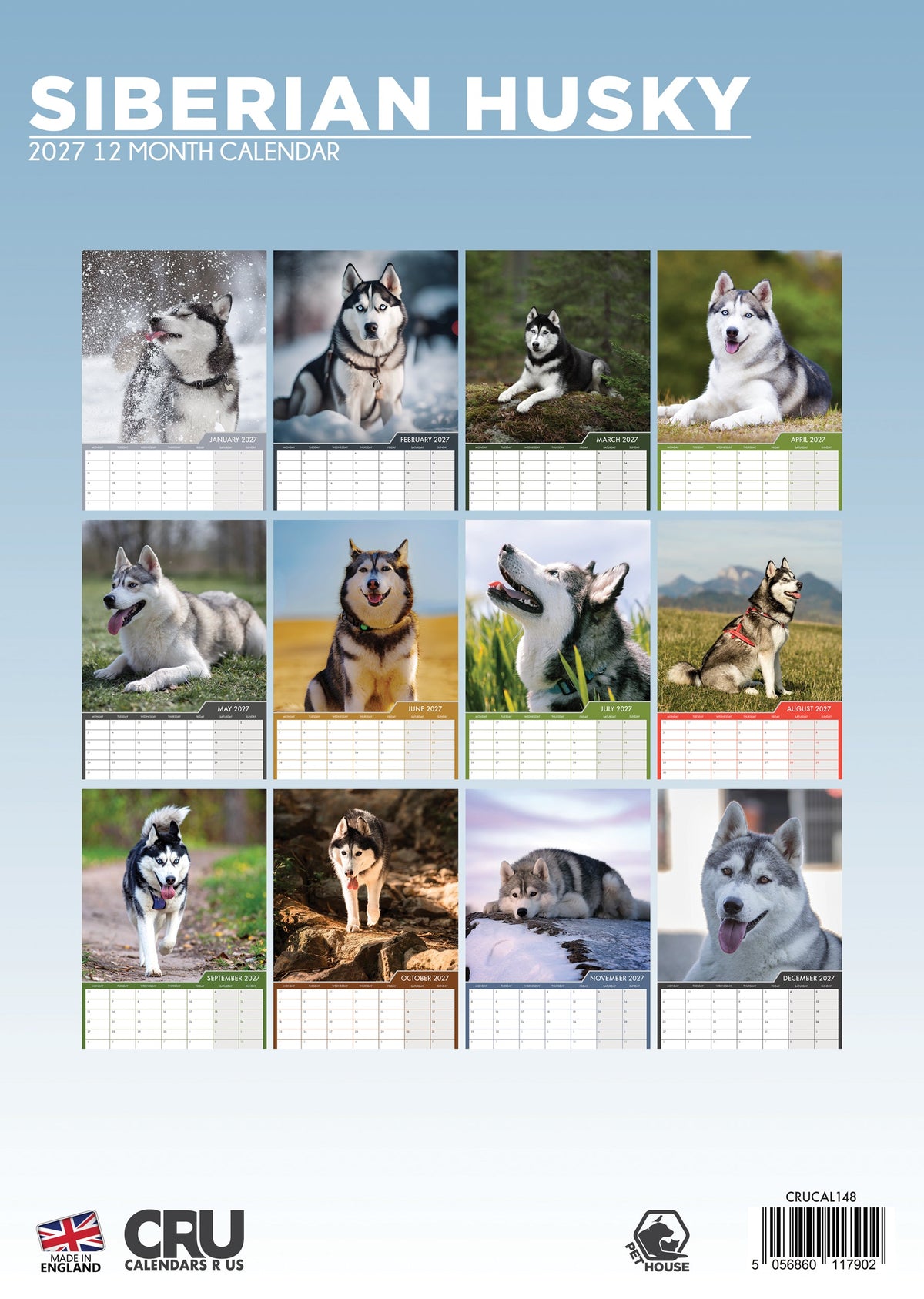 Siberian Husky - A3 Calendar 2027