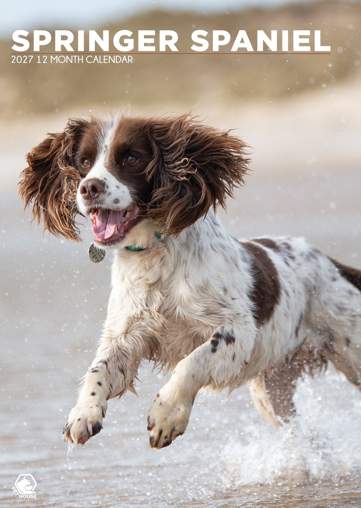 Springer Spaniel - A3 Calendar 2027