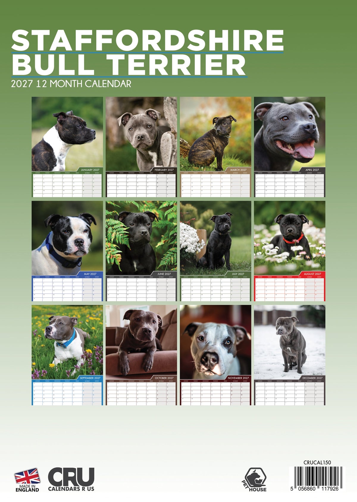 Staffordshire Bull Terrier - A3 Calendar 2027