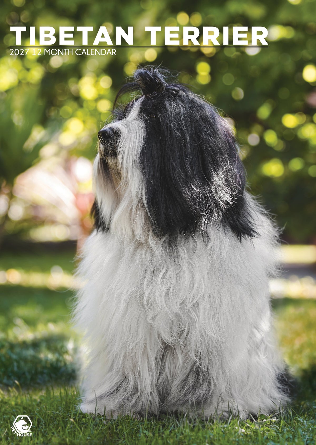 Tibetan Terrier Calendar - A3 Calendar 2027