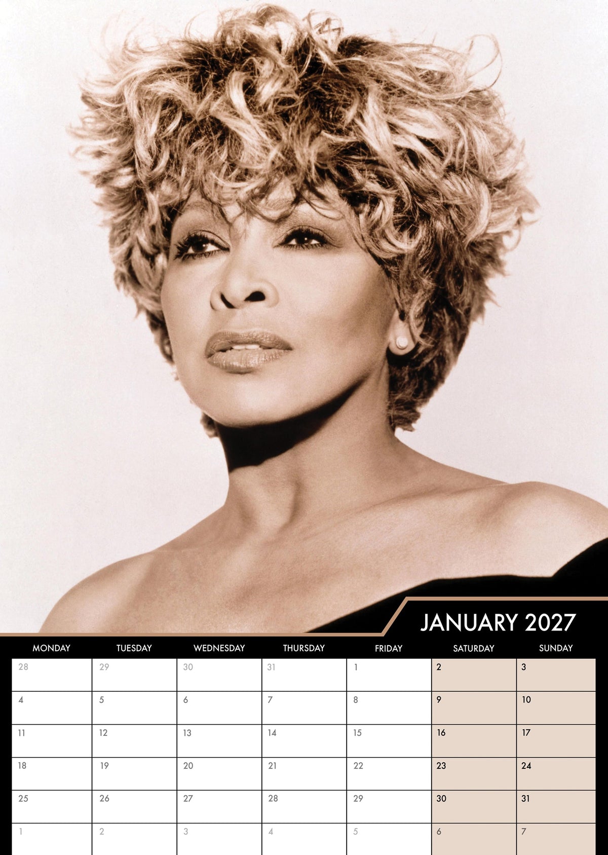 Tina Turner - A3 Calendar 2027