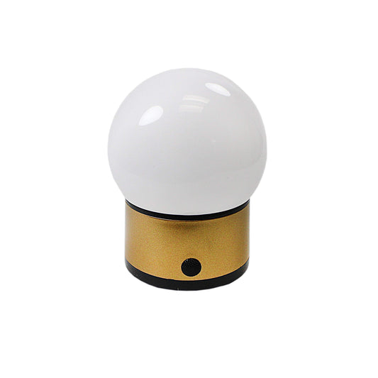 LED Round Globe Style Battery Operated Lamp Light 4270