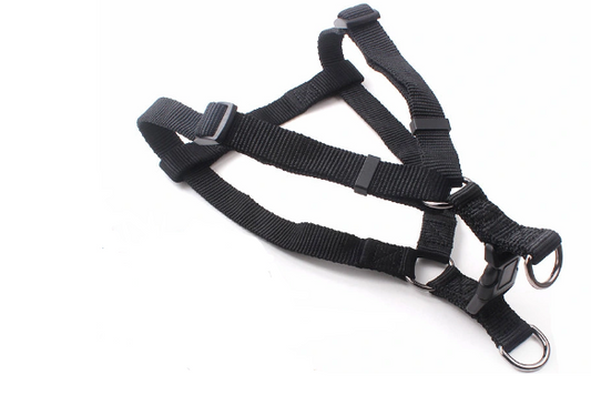 Dog Leash Rope Foam Grip With Adjustable Harness Assorted Colours 6719