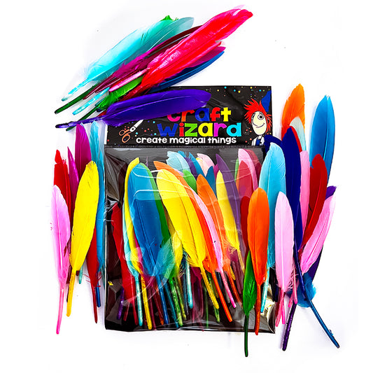 Rainbow Colours 15cms Feathers Value Pack