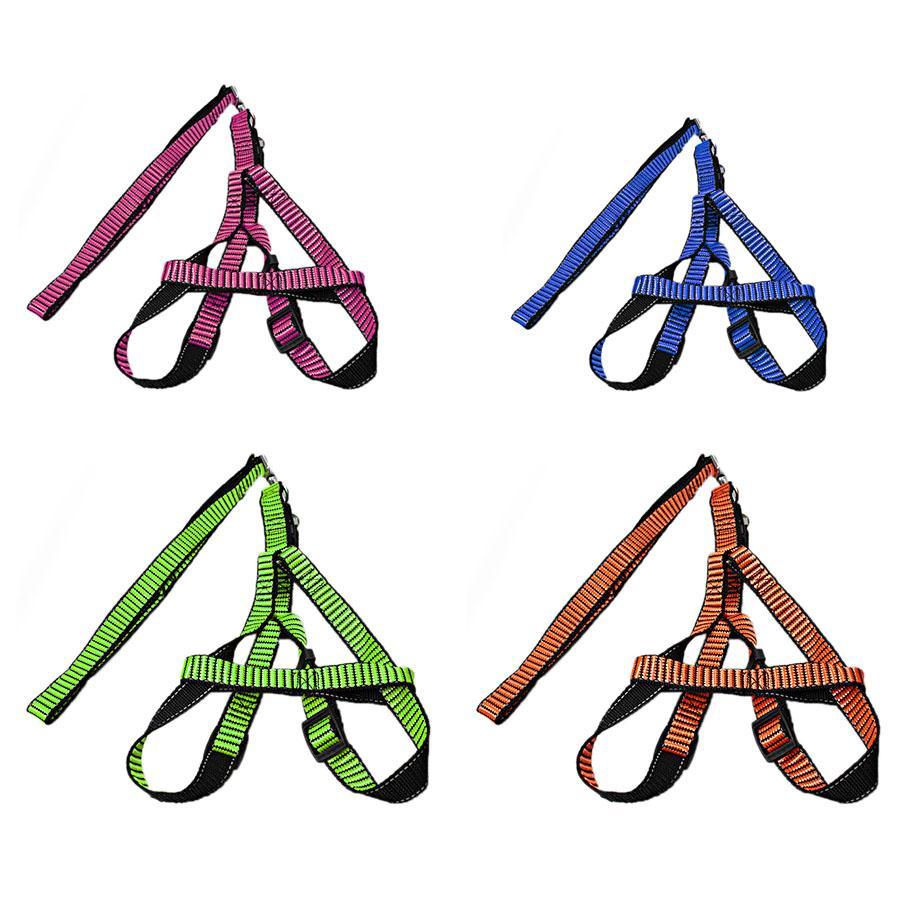 Pet Dog Leash with Harkness Assorted Colours 5034