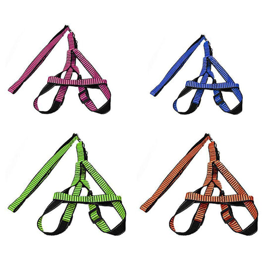 Pet Dog Leash With Harkness Assorted Colours