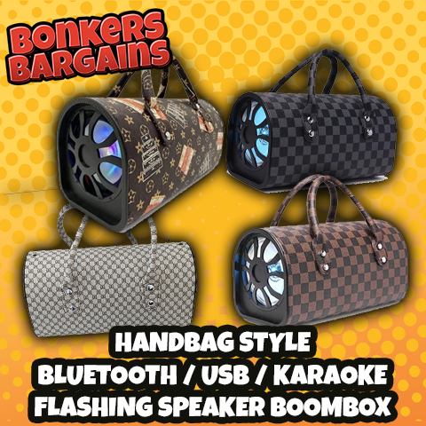 Handbag Style Bluetooth Karaoke Speaker BoomBox