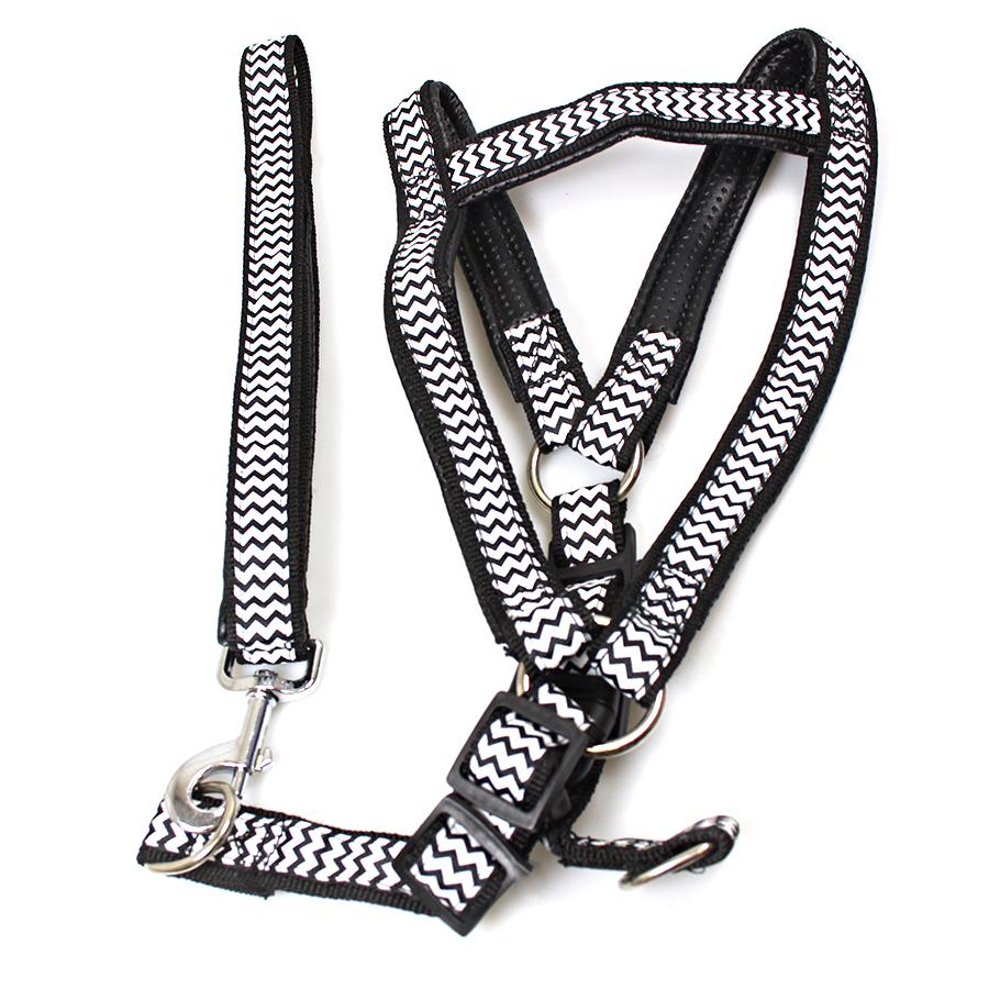 Dog Leash Lead With Harness Printed Design Assorted Designs