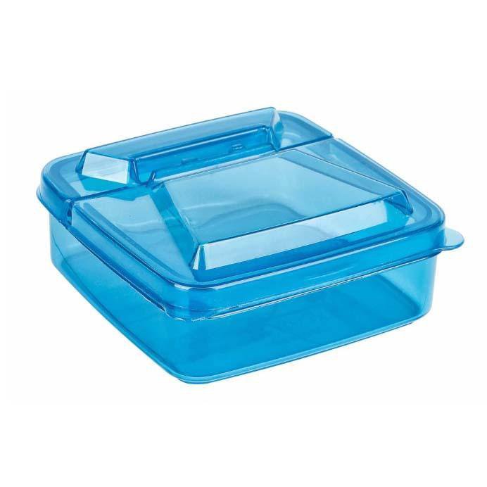 Plastic Mini Food Storage Container 250ml Assorted Colours BG388