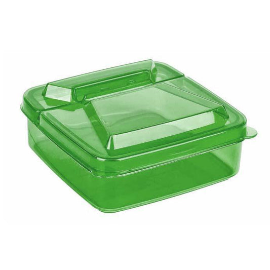 Plastic Mini Food Storage Container 250ml Assorted Colours BG388