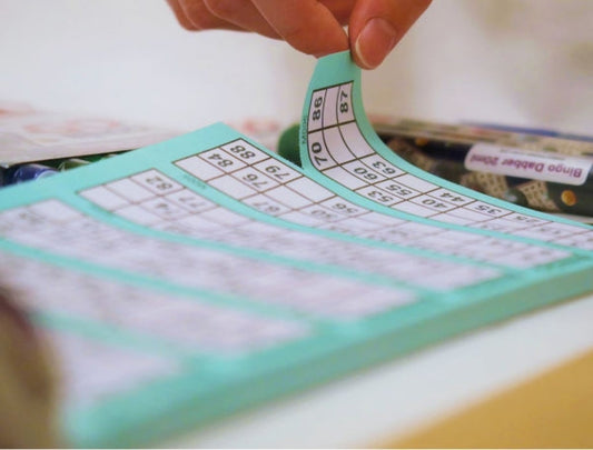 Go Paper Bingo Ticket Book 450 Tickets P2431
