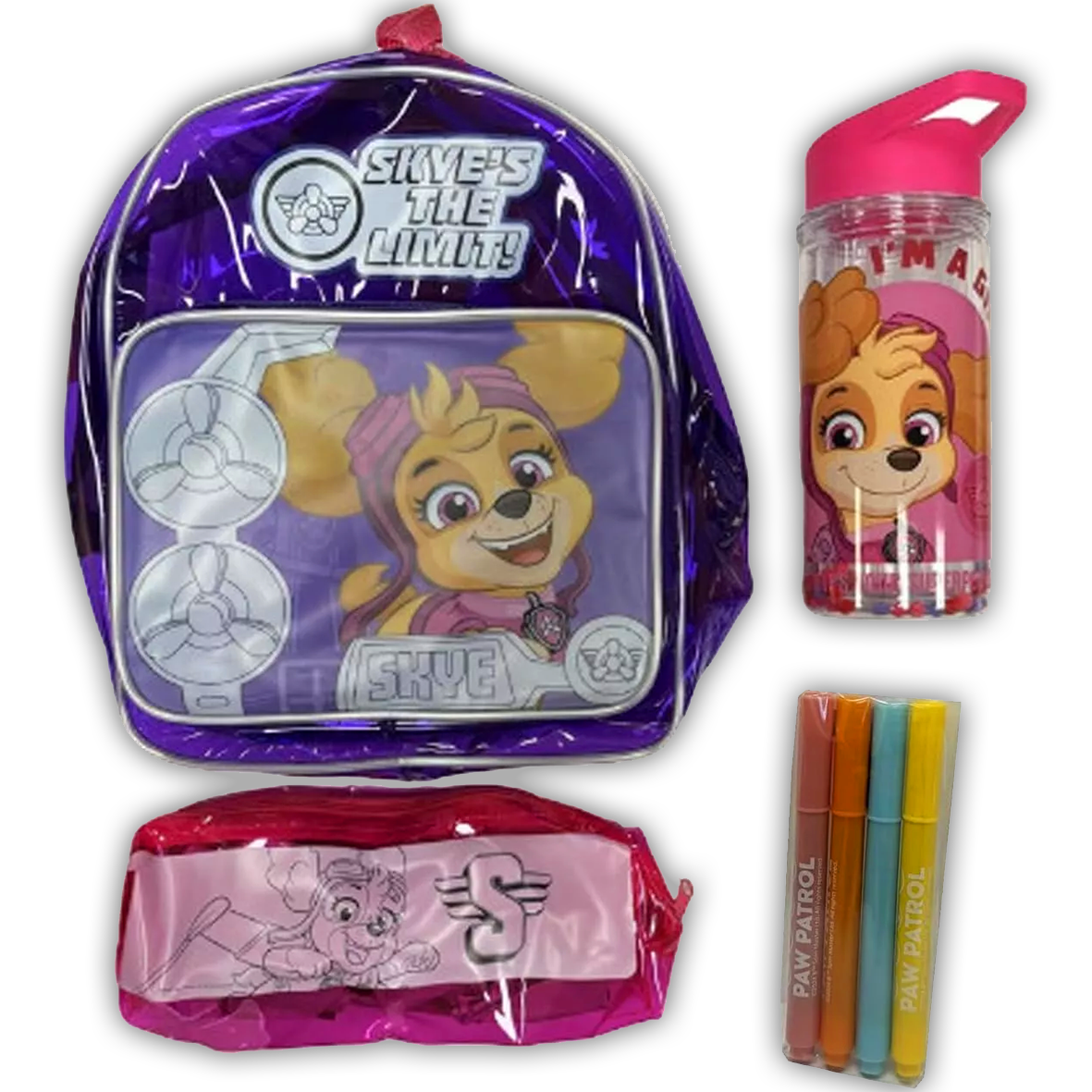 Paw Patrol Colour Your Own Accessory Set - Skye