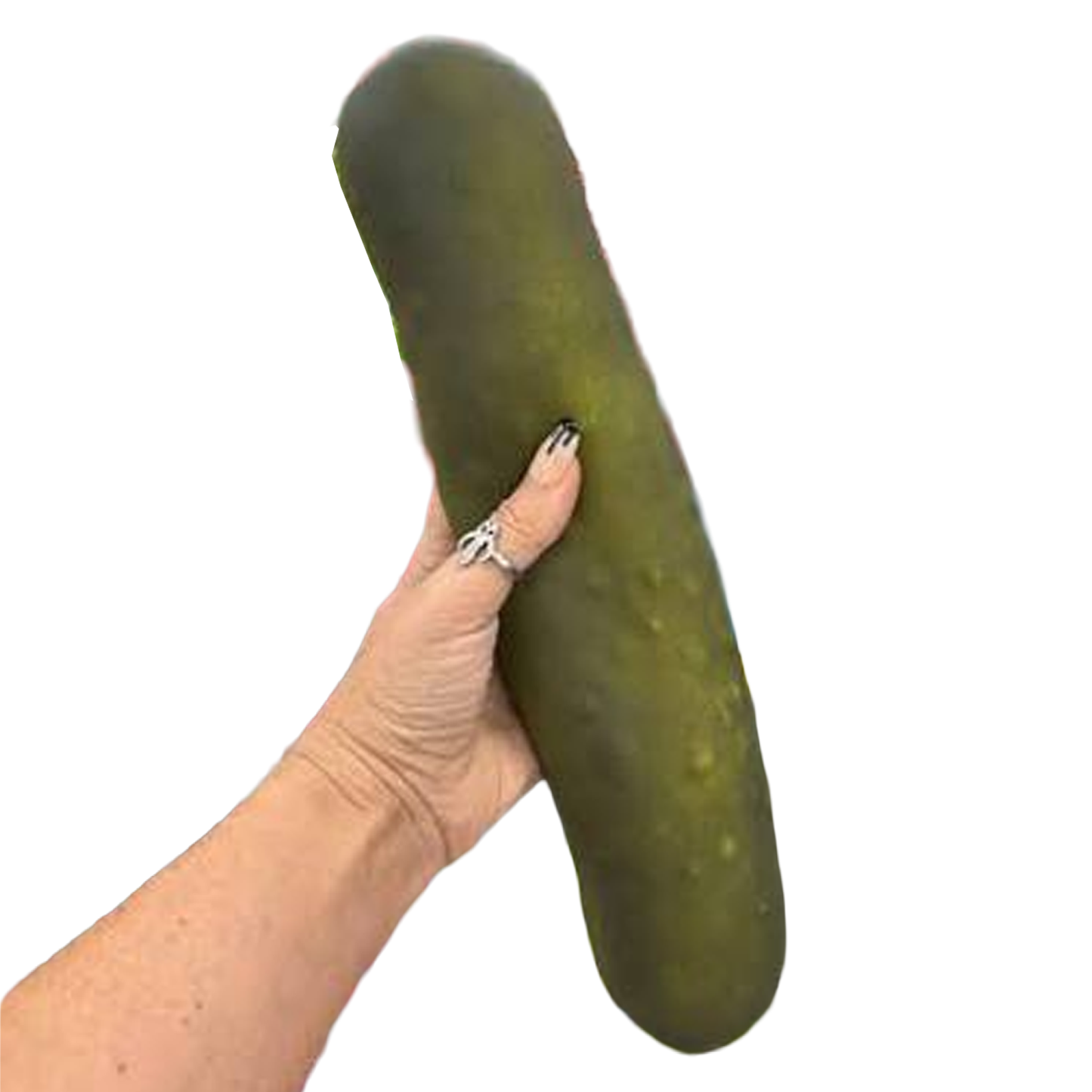 XXL Viral Jumbo Squishy Pickle - Giant Squish Sensory Fidget Toy - UK Certified