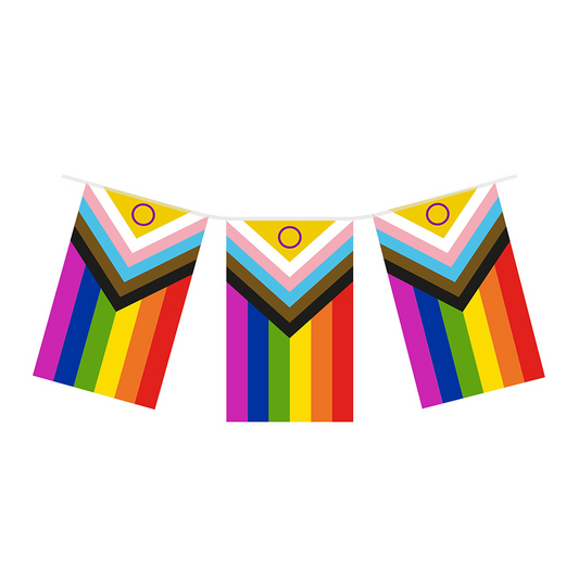 Pride Progress Bunting 4.5 Metre