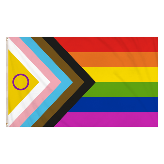 Pride Progress Flag (5ft x 3ft)