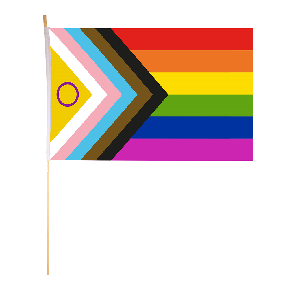 Pride Progress Hand Flag with Wooden Stick 45x30cm (12 Pack)