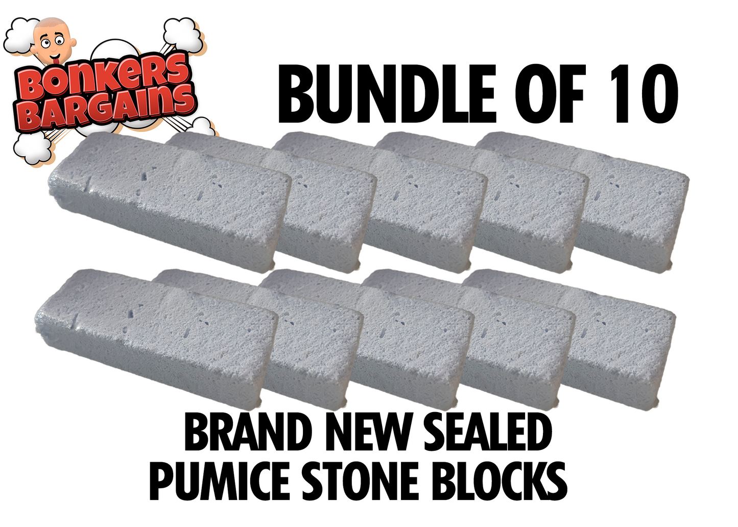 Pumice Stone Block 10 Pack Bundle