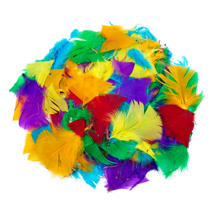 Rainbow Colours Big Value Feathers Mix ( 28g )