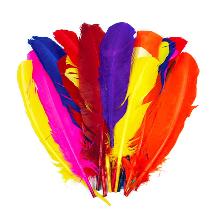 Rainbow Colours Large Quill Feathers x 25 ( Craft Clearance Special )