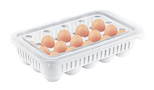 Plastic Egg Storage Container Box 15 Eggs 28 x 18 x 8 cm AK680