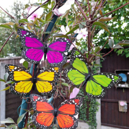 Colourful Butterfly Clip Decorations Indoor/Outdoor