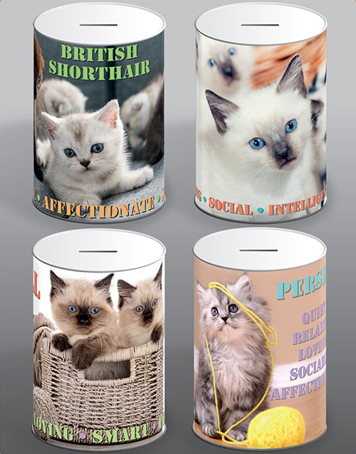 Cat Money Tin 100mm x 150mm Assorted Designs CAT001