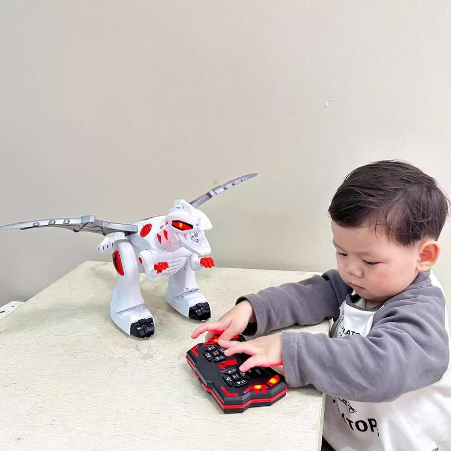 Rc Multifunctional Dragon
